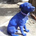 Video: Le consiguen abogado al Perrito pintado de azul