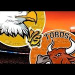 [Video] Resumen Toros del Este vs Águilas Cibaeñas | 15 ENE 2020 | Serie Semifinal Lidom