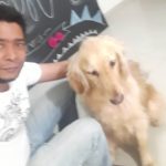 Coronavirus y perros: El único miembro de la familia que posiblemente sale y entra de la casa y no guarda cuarentena