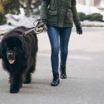 Video | Identifican joven que aparece en video dando droga a un perro en Los Alcarrizos