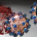 Coronavirus: 265 muertes y 5,543 infectados en República Dominicana