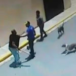 [Video] Dictan garantía económica de 30 mil pesos a hombre hirió seguridad